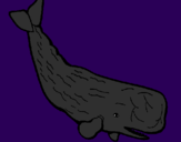 Disegno Balena enorme  pitturato su nicholas