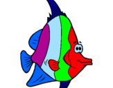 Disegno Pesce tropicale  pitturato su pesce