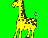 Disegno Giraffa pitturato su davide