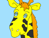 Disegno Muso di giraffa pitturato su bisonte simo