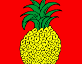 Disegno ananas  pitturato su antonela