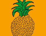 Disegno ananas  pitturato su enrica