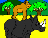 Disegno Rinoceronte e scimmietta  pitturato su monika