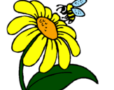 Disegno Margherita con ape  pitturato su Rita