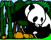 Disegno Orso panda con bambù  pitturato su abbasso juve