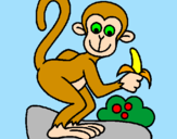 Disegno Scimmietta  pitturato su martina lai