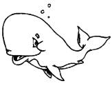 Disegno Balena timida  pitturato su balena