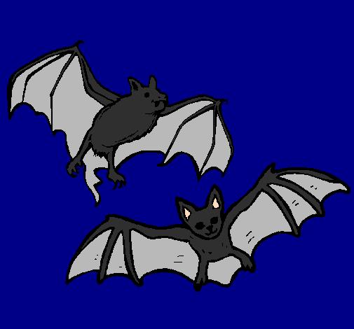 Un paio di pipistrelli 