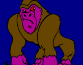 Disegno Gorilla pitturato su FILIPPO