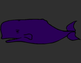 Disegno Balena blu pitturato su GIADA 