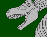 Disegno Scheletro di Tyrannosaurus rex pitturato su michele