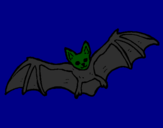 Disegno Pipistrello in volo  pitturato su sara mantova