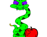Disegno Serpente con la mela  pitturato su LISA