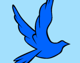 Disegno Colomba della pace in volo pitturato su angela
