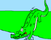Disegno Alligatore che entra nell'acqua  pitturato su maurizio fuselli