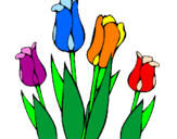 Disegno Tulipani  pitturato su alex