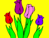Disegno Tulipani  pitturato su ANNA GAIA