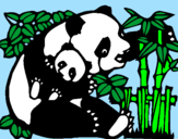 Disegno Mamma panda  pitturato su Camilla