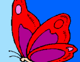 Disegno Farfalla  pitturato su Ludovica