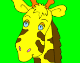Disegno Muso di giraffa pitturato su bisonte simo