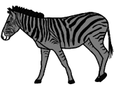 Disegno Zebra  pitturato su elisahklòpiuyteaaaùùùùùùù