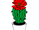 Disegno Cactus fiorito  pitturato su lola