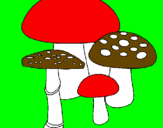 Disegno Funghi pitturato su giorgia100