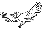 Disegno Falco  pitturato su anónimo