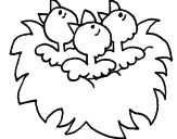 Disegno Nido con gli uccellini  pitturato su pinuccia
