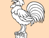 Disegno Gallo che canta  pitturato su gallo