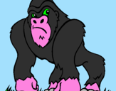 Disegno Gorilla pitturato su daniel