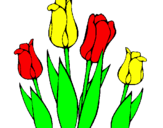 Disegno Tulipani  pitturato su ANNARITA3