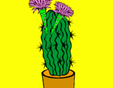 Disegno Cactus fioriti pitturato su carmen