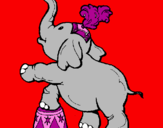 Disegno Elefante  pitturato su alicc