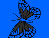 Disegno Farfalla  pitturato su miriam