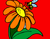 Disegno Margherita con ape  pitturato su Davide