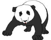 Disegno Orso panda  pitturato su Camilla