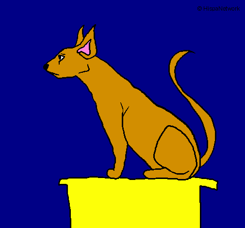 Gatto egiziano II