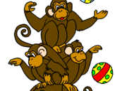 Disegno Scimmie giocoliere pitturato su anónimo