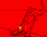 Disegno Alligatore che entra nell'acqua  pitturato su claudia