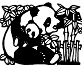 Disegno Mamma panda  pitturato su Sebastiano
