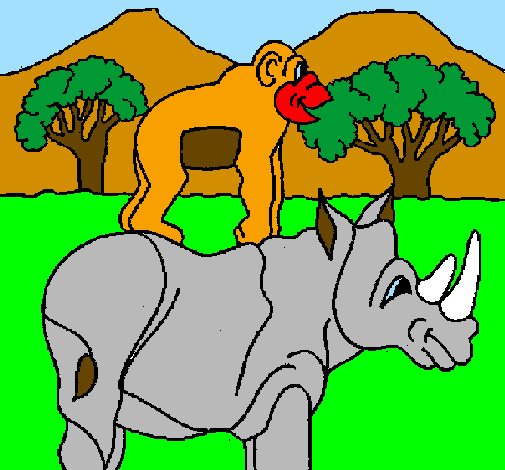 Rinoceronte e scimmietta 