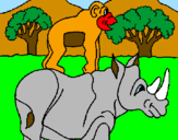Disegno Rinoceronte e scimmietta  pitturato su marco