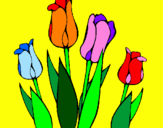 Disegno Tulipani  pitturato su manuela