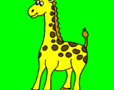 Disegno Giraffa pitturato su manuel