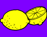 Disegno limone  pitturato su Sara