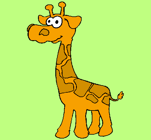 Giraffa 