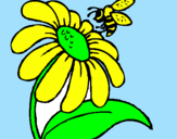 Disegno Margherita con ape  pitturato su giada
