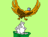 Disegno Aquila riciclatrice  pitturato su giuseppe