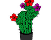 Disegno Fiori di cactus  pitturato su VALERIA